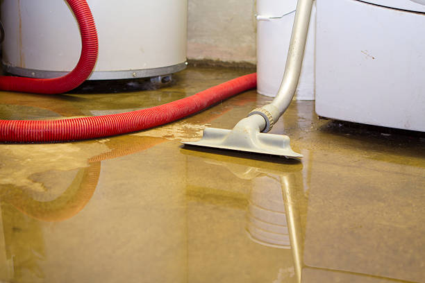 Reliable Ridgetop, TN Water damage restoration Solutions